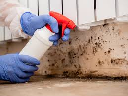 Best Environmental Consulting for Mold Prevention  in Pacific, WA